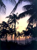 Sunset Sunset